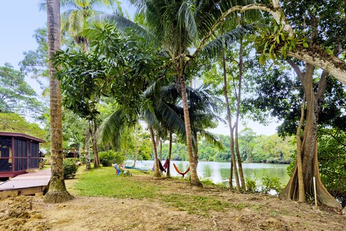 Gorgeous Studio Cabin located on the tropical Banks of the Sittee River