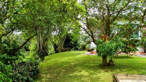 Property grounds - Florencia! (amaga)