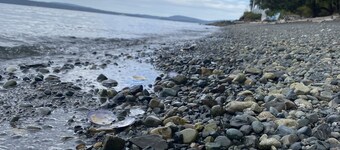 Beachfront property with beach access located in in close proximity to amenities