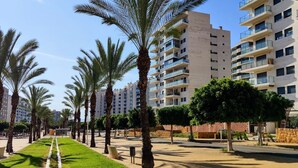 Eine moderne Stadtstraße mit Palmen, einem gepflasterten Gehweg und hoch aufragenden Wohngebäuden.