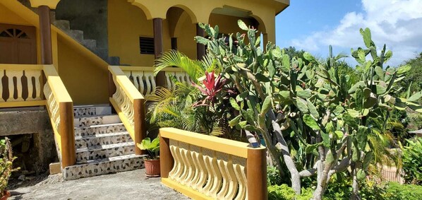 Property grounds - An oasis 5 minutes from Negril town. House with modern comforts; AC, Wifi (Negril)