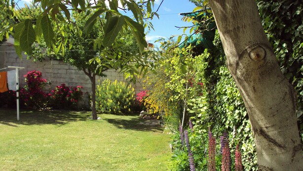 Basic Double Room | Terrace/patio - Hostal Puerto Madryn (Puerto Madryn)