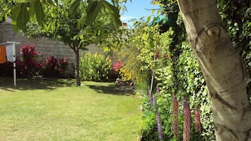 Basic-dobbeltværelse | Terrasse/gårdhave