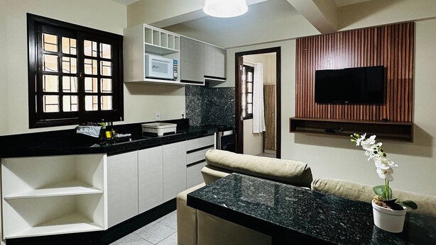 A compact kitchen with a microwave, a sink, and a countertop. There is a television mounted on the wall and a potted orchid on the counter. - Ancoragem (Bombinhas)