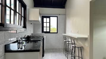 Basic Apartment | Private kitchen | Fridge, oven, stovetop, blender