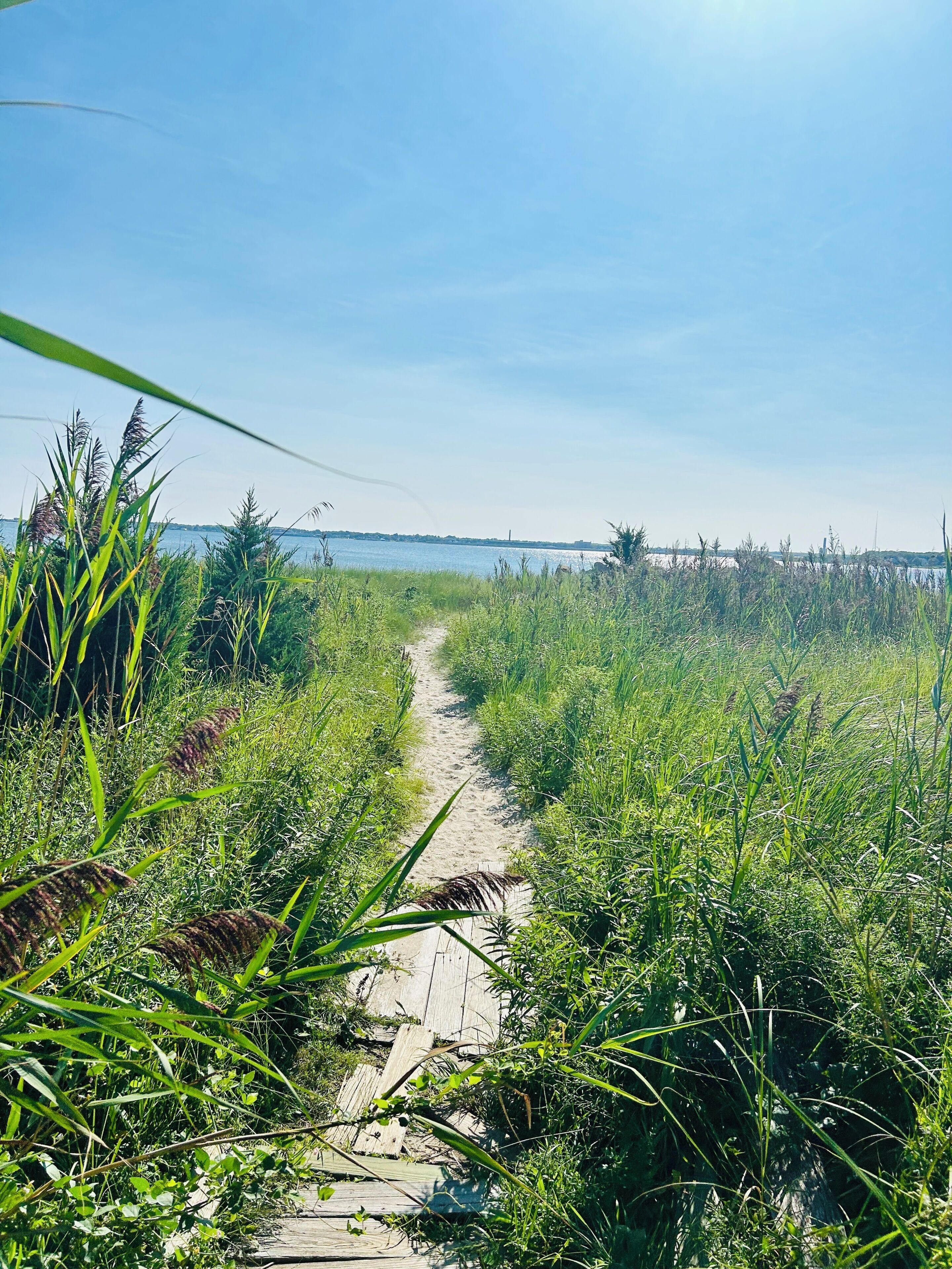Un étroit sentier de béton mène à un plan d’eau, lequel est entouré d’une végétation verdoyante et dense.