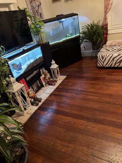 Historical section of Chesapeake. Propertie nice and groomed quiet neighborhood.