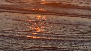 A sunset over a calm sea with gentle waves. - Welcome to Your Vacation Home (Clearwater)