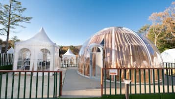 Village Dorm, 1 King Bed + 1 Semi Double Bed | Blackout drapes, free WiFi, bed sheets