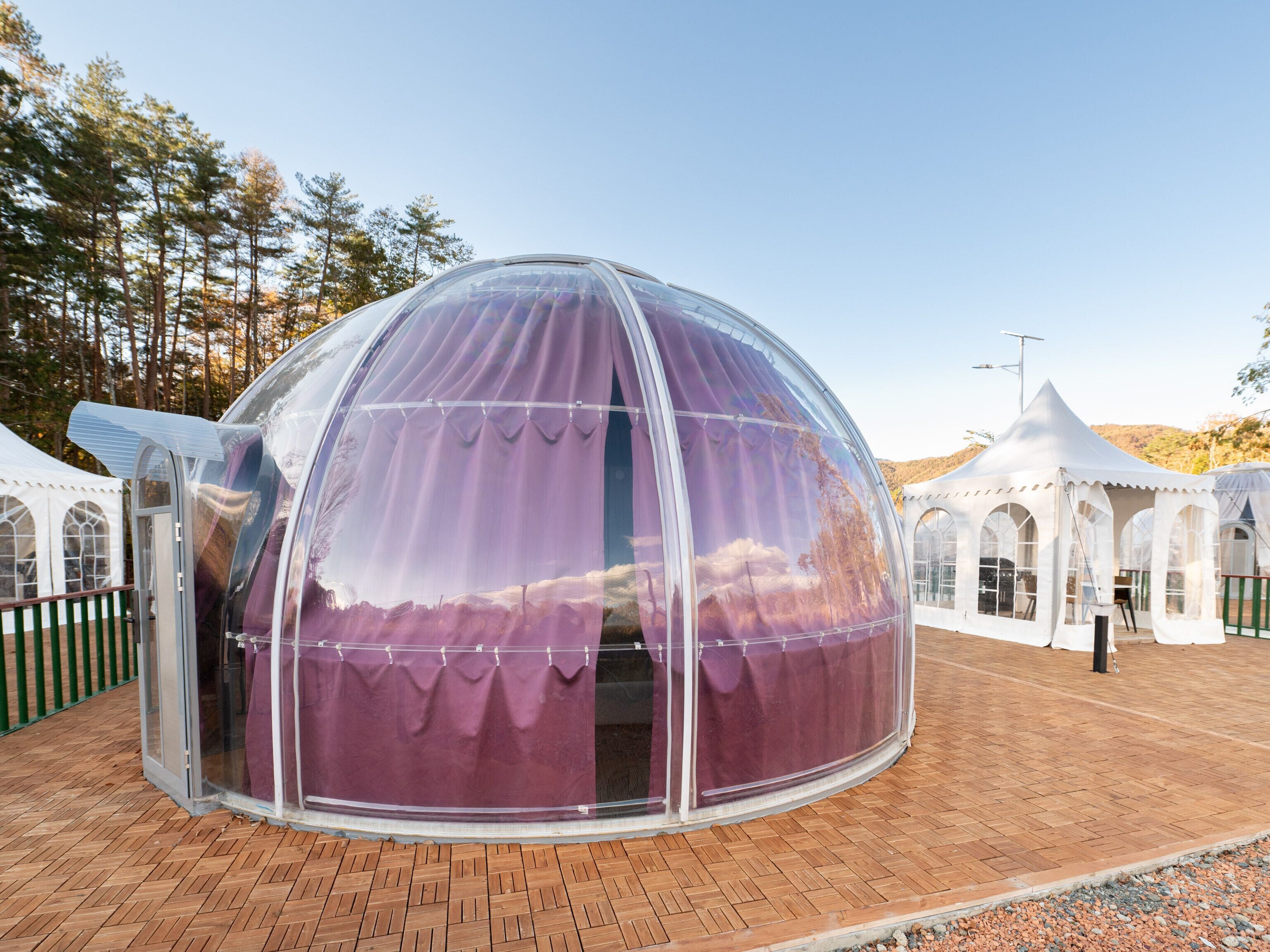 A transparent dome structure with a purple interior, surrounded by a brick pathway and white tents.