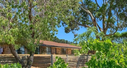 Picturesque Vineyard Farmhouse Nestled on 40 Acres