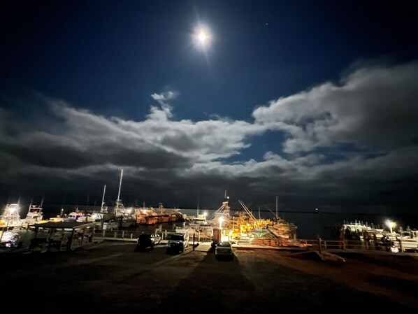 A nighttime marina with boats docked, a large ship in the background, and a bright moon in the sky.