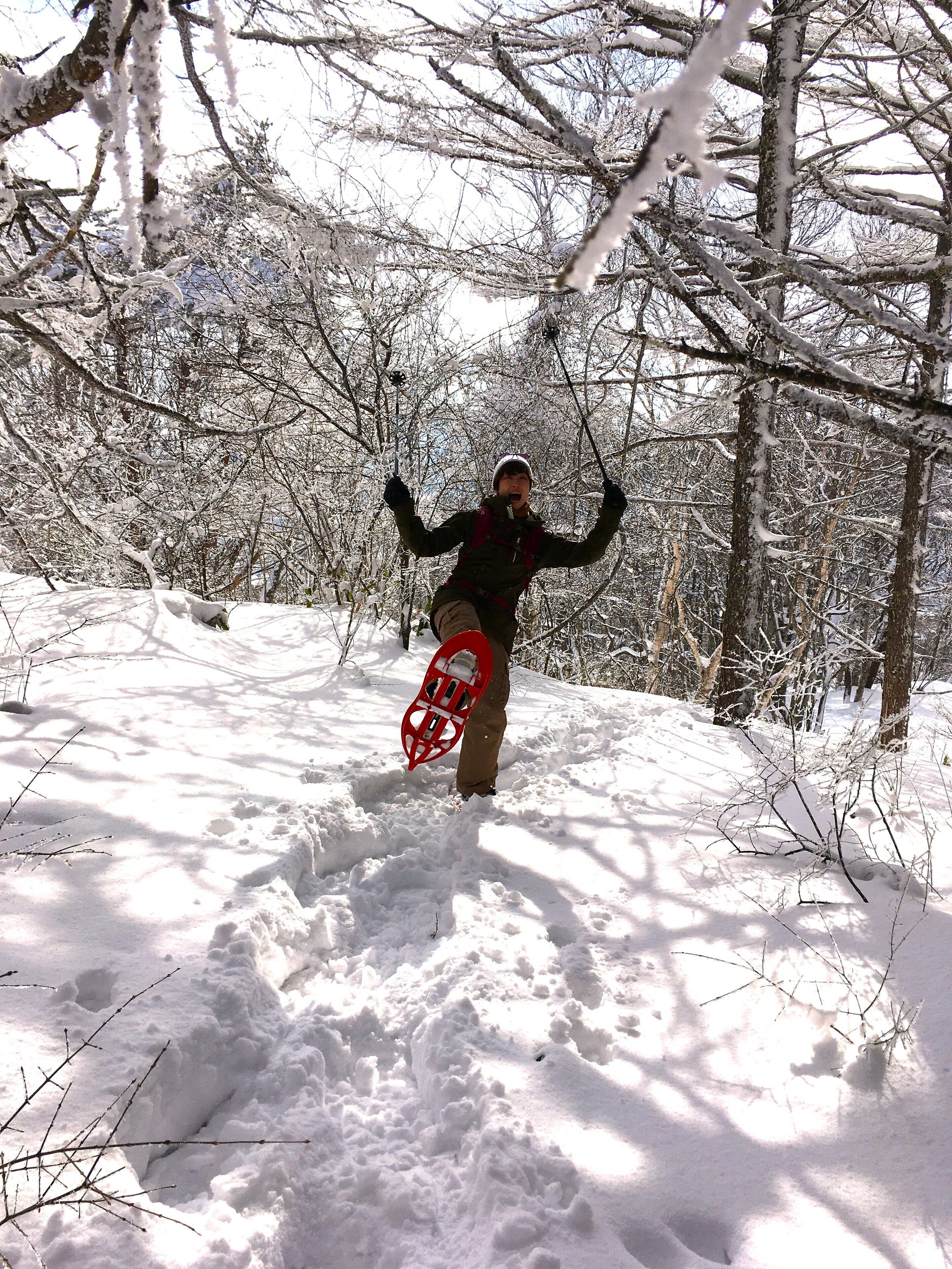 A person in a snowy forest holding a snowboard.