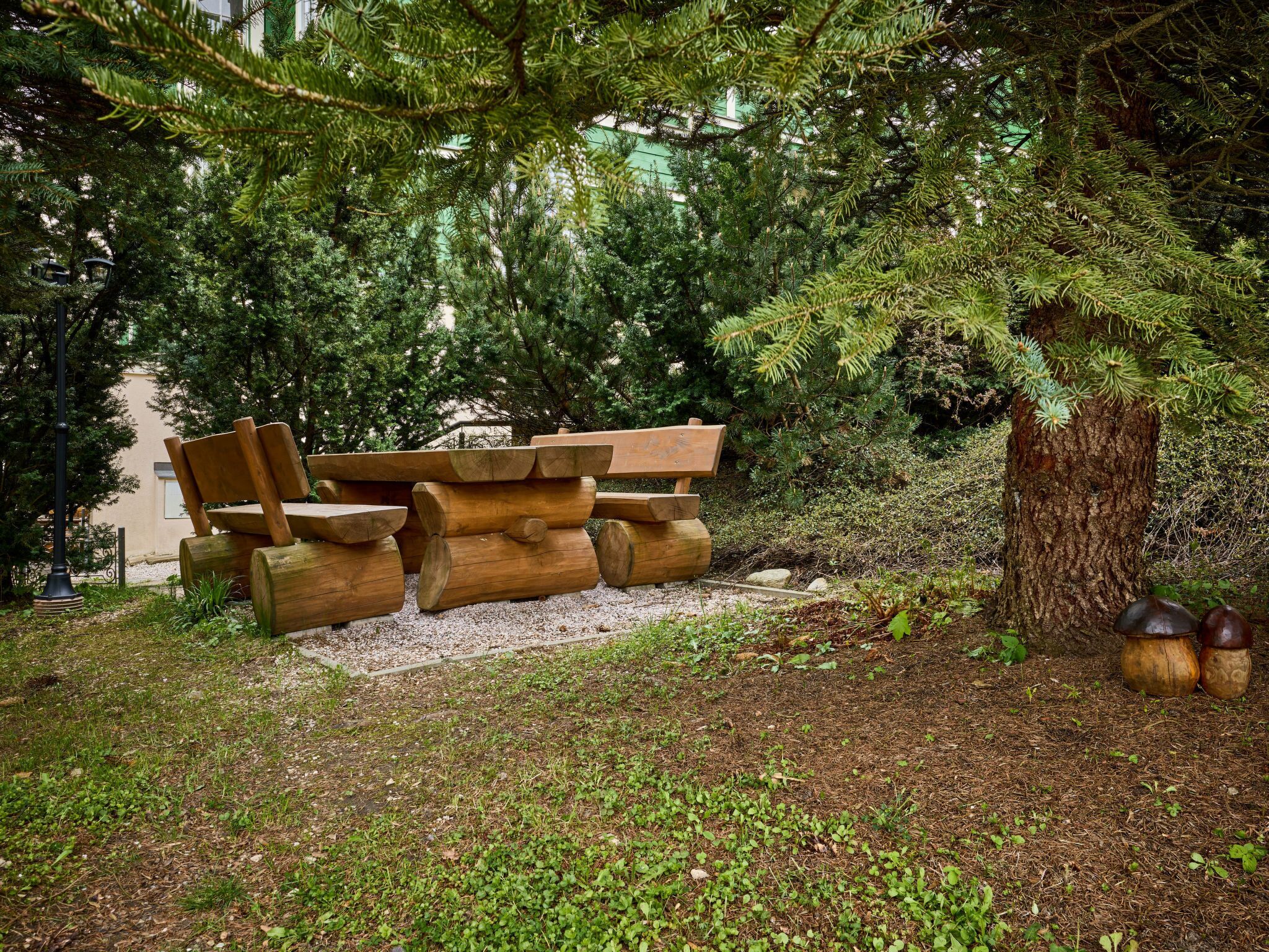Un espace extérieur aménagé dans un style rustique, avec des bancs et une table en bois, entouré d’une végétation luxuriante et d’arbres.