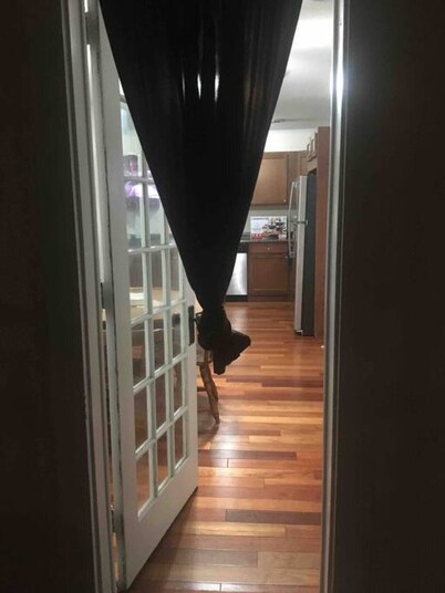 2 bedroom suite with free parking