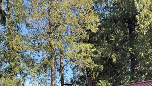 Une cabane avec un toit rouge, une véranda et une cheminée.