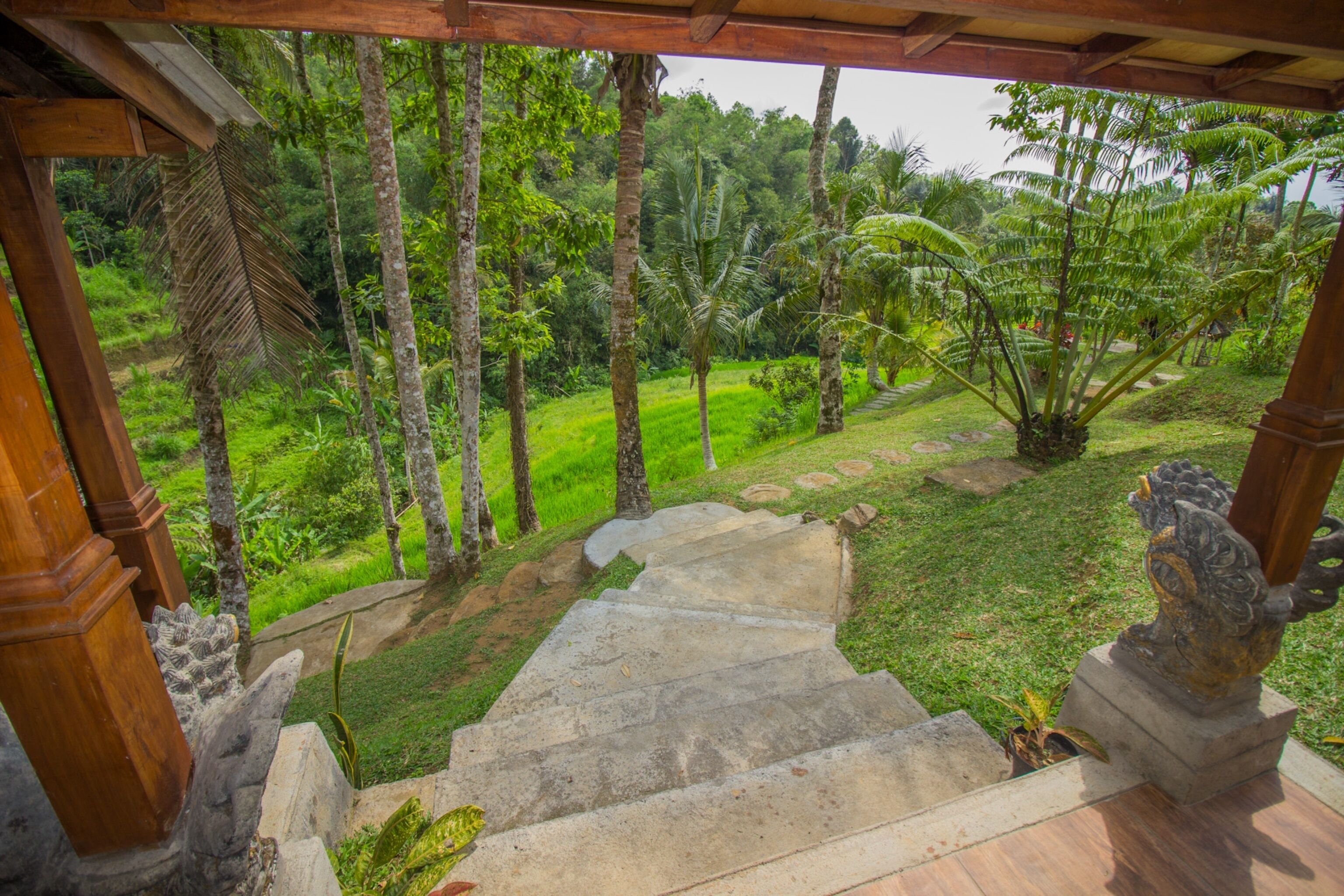 Uma escadaria de pedra leva a um espaço coberto com vista para um jardim exuberante e palmeiras.