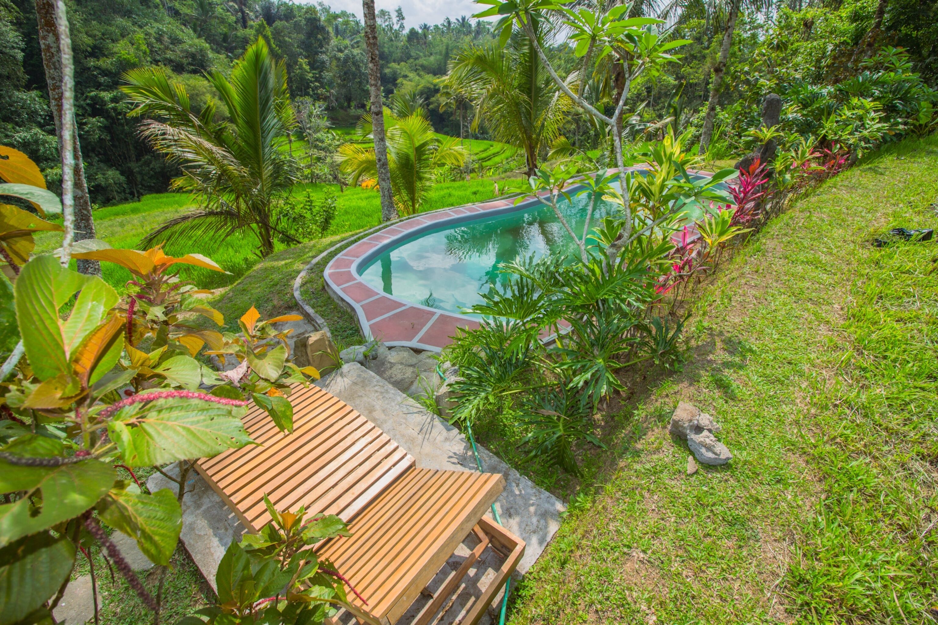 A pool surrounded by lush greenery, a wooden deck, and a stone pathway.