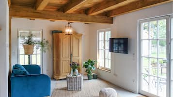 Televisión, chimenea