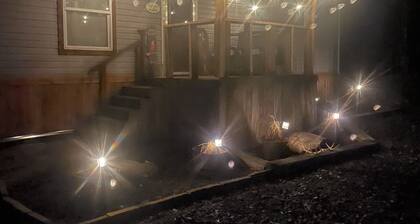 COME SEE US AT JENNY'S FARMHOUSE ! FUN FOR EVERYONE ! ALWAYS SOMETHING TO DO !