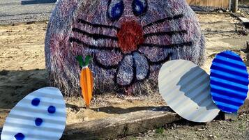 Servei de restauració a l'aire lliure