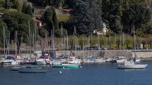 Un puerto deportivo con varias embarcaciones amarradas, rodeado de árboles y edificios.