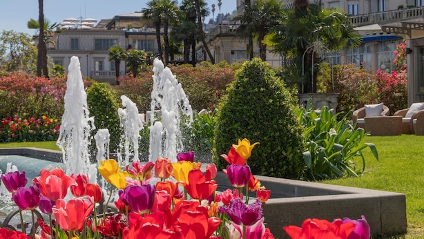 Un jardín con una fuente, coloridos tulipanes y un edificio con balcones al fondo.