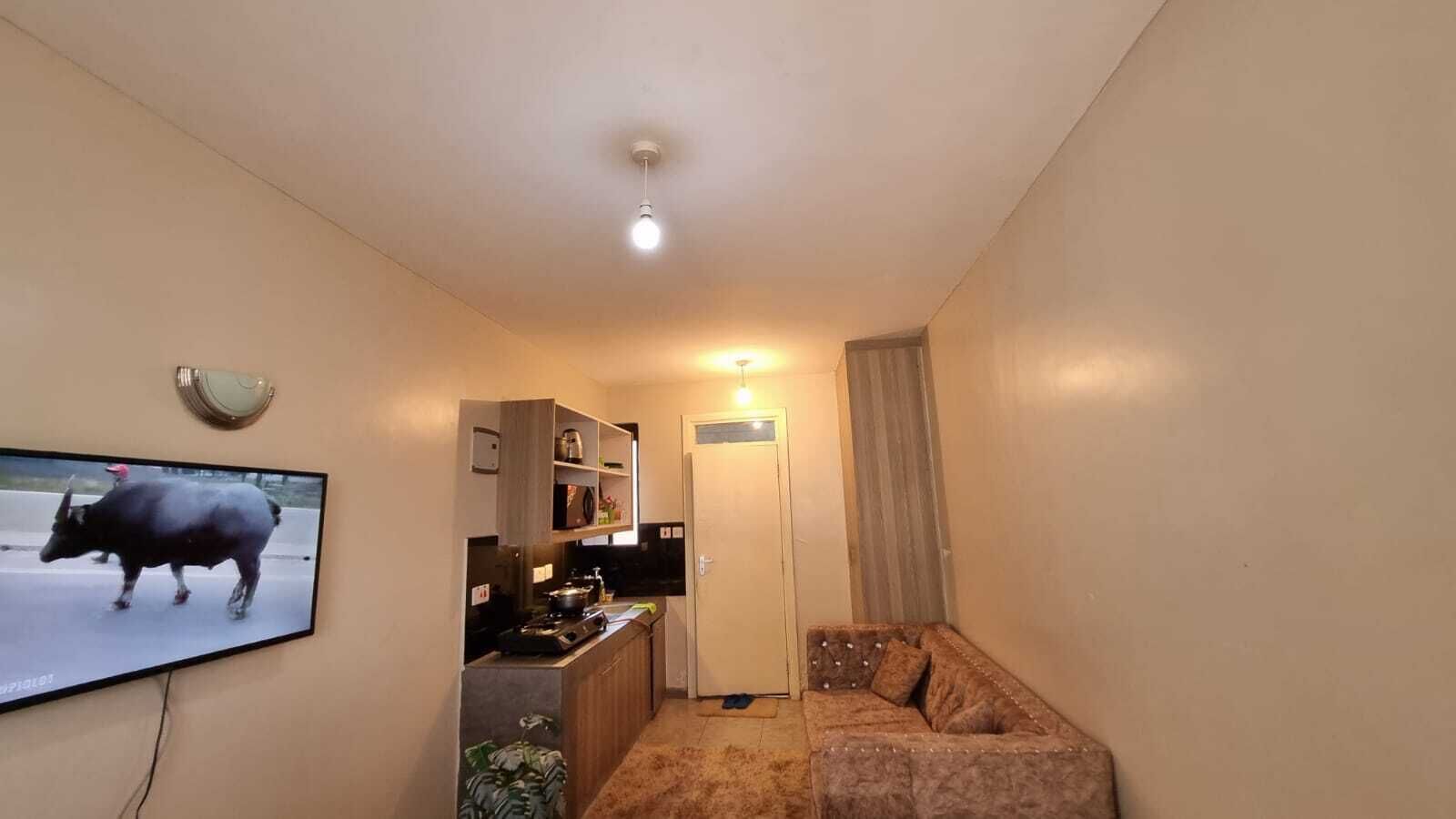 A compact living space with a kitchenette, a flat-screen TV mounted on the wall, a sofa, and a curtain.