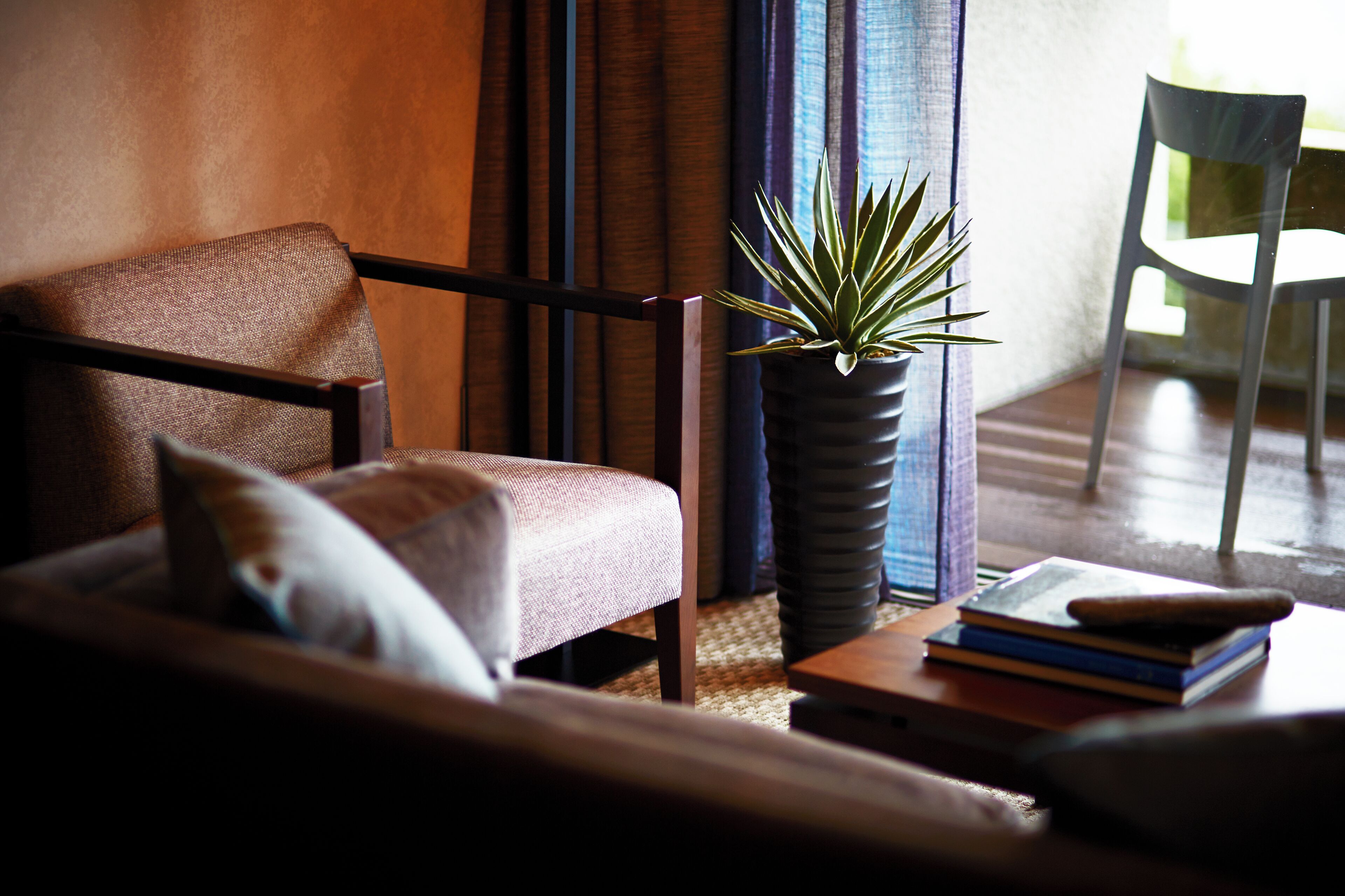 A cozy living room with a sofa, a coffee table with books, a potted plant, and a chair.
