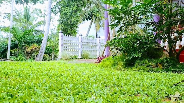 A lush green lawn with a white fence and trees in the background. - Volga Guest House (Weligama)