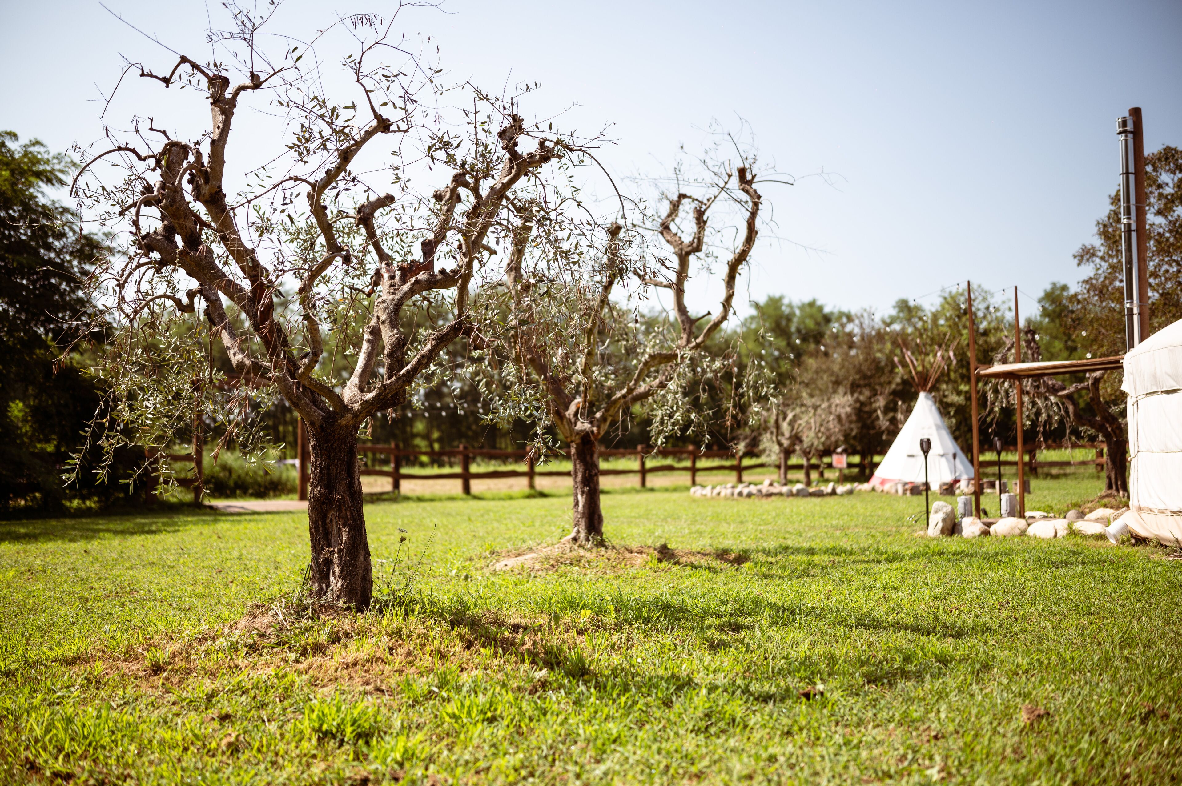 Parco della struttura