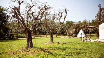 Parco della struttura