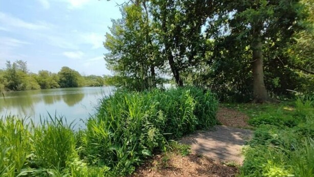 A pathway leading to a lake surrounded by lush greenery.