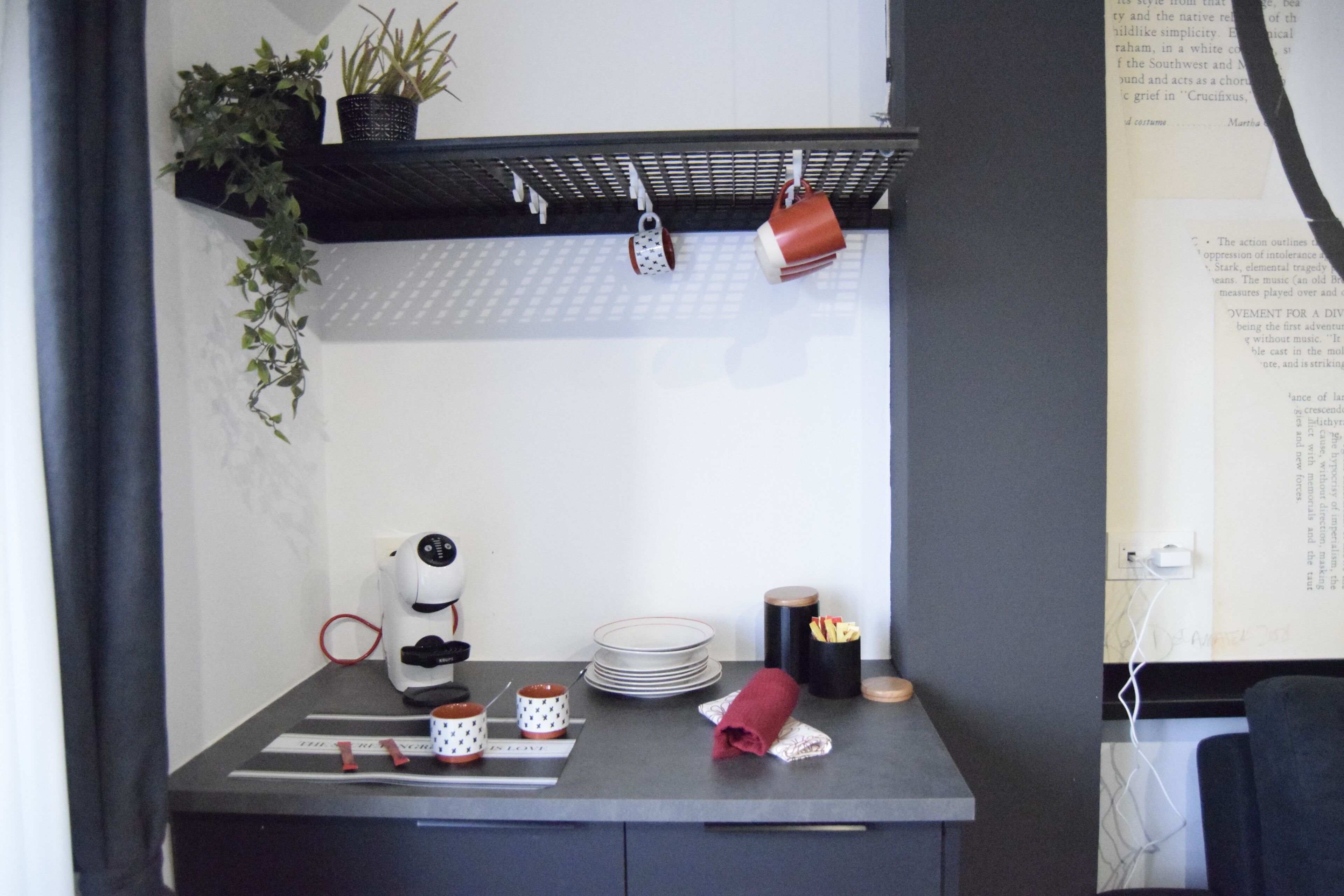 A kitchen counter with a coffee maker, plates, mugs, and a hanging plant.