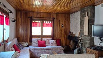 テレビ、暖炉、DVD プレーヤー、書庫