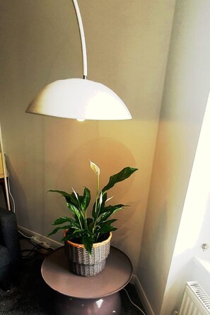 Interior - *RARE FIND*C.19th Loft with balcony.NEC/BHX 10 min (Coleshill)