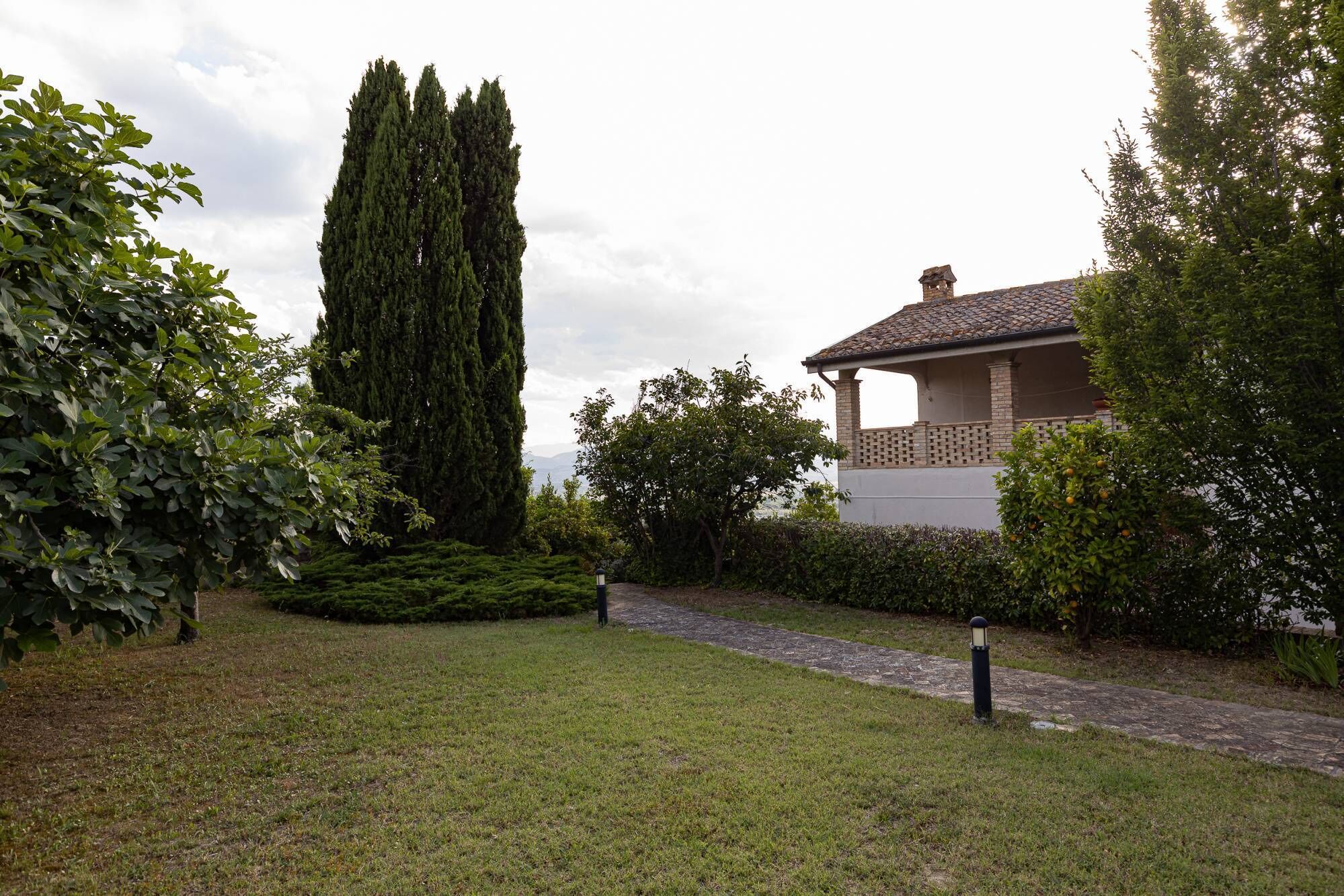 A garden with a tall coniferous tree, a white building with a tiled roof, and a stone pathway.