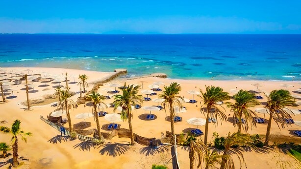 A beach with numerous umbrellas and lounge chairs, palm trees, and a clear view of the ocean. - White Valley Palace  (Hurghada)