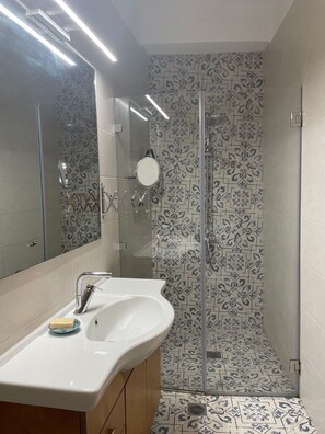 Shower, hair dryer, bidet, towels