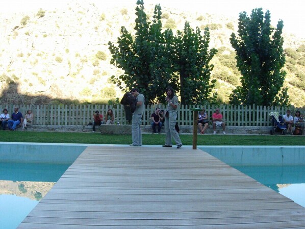 Children’s activities