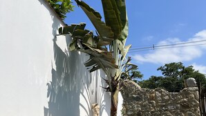 A swimming pool with clear water, surrounded by a white wall, a stone wall, and tropical plants. - Hotel Boutique Casa Arte Cabore (Paraty)