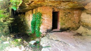 A cave-like structure with a small door, stone walls, and some greenery growing on the walls. - Rock House Cave Side Suite VIP Parking Cave Access (Eureka Springs)