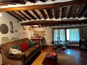 TV, fireplace, books