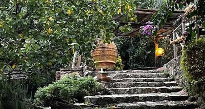 Ancient Tuscan style country house with a view of the Pisan Mountains