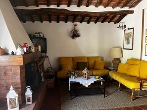 Televisor, llar de foc i llibres 