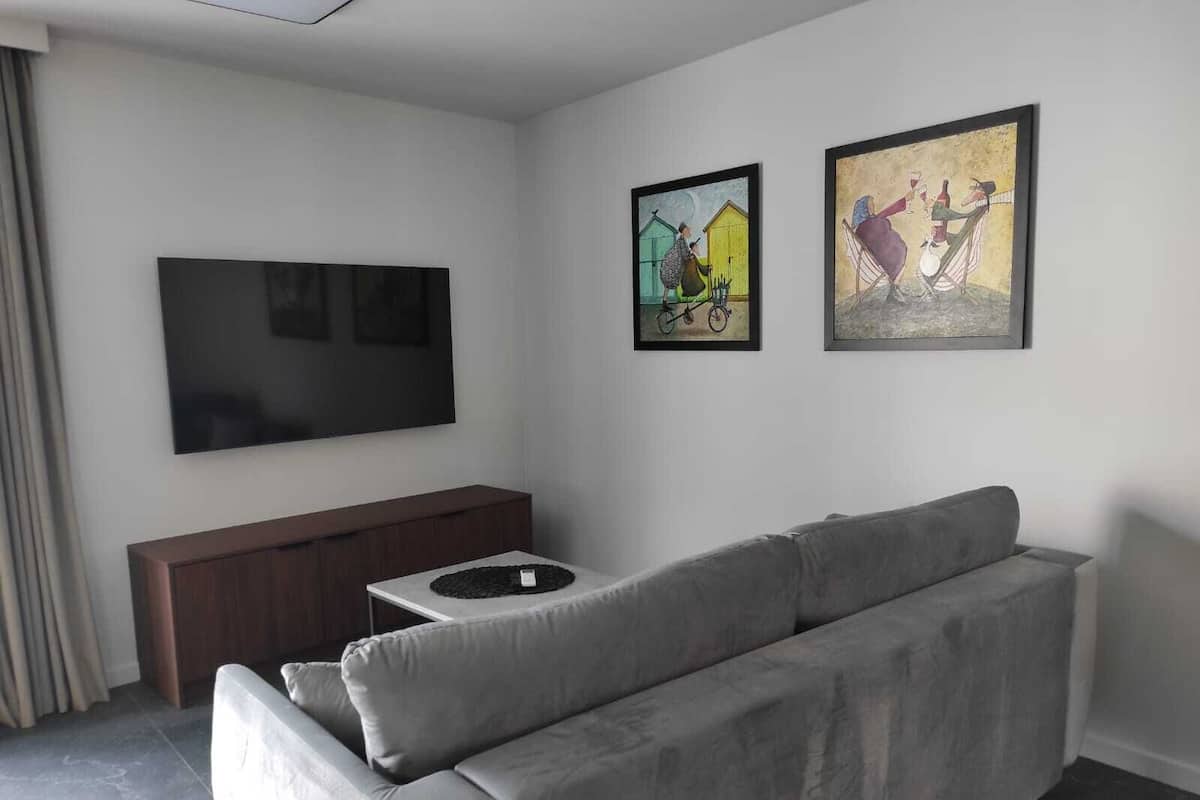 Een moderne woonkamer met een grijze bank, een flatscreen-tv aan de muur en twee kunstwerken in lijsten.