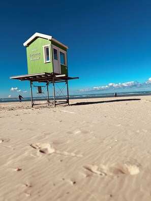 Plage, chaises longues