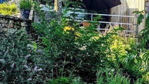 Et stenhus med tegltag, et vindue med skodder og en have med forskellige planter.