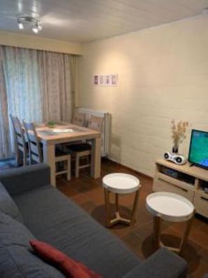 TV, DVD player, mesa de pingue-pongue