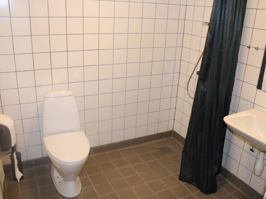 A bathroom with a toilet, a sink, and a shower curtain.